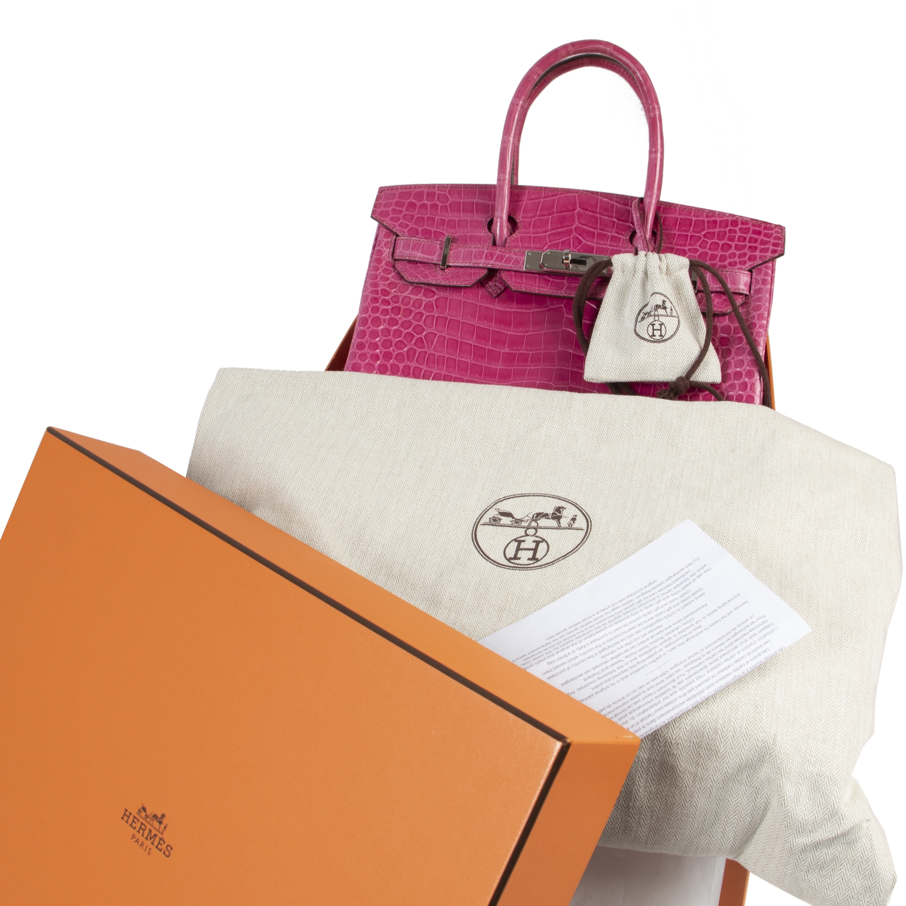 Extremely rare collector's item Hermès Birkin 30 Crocodile Porosus