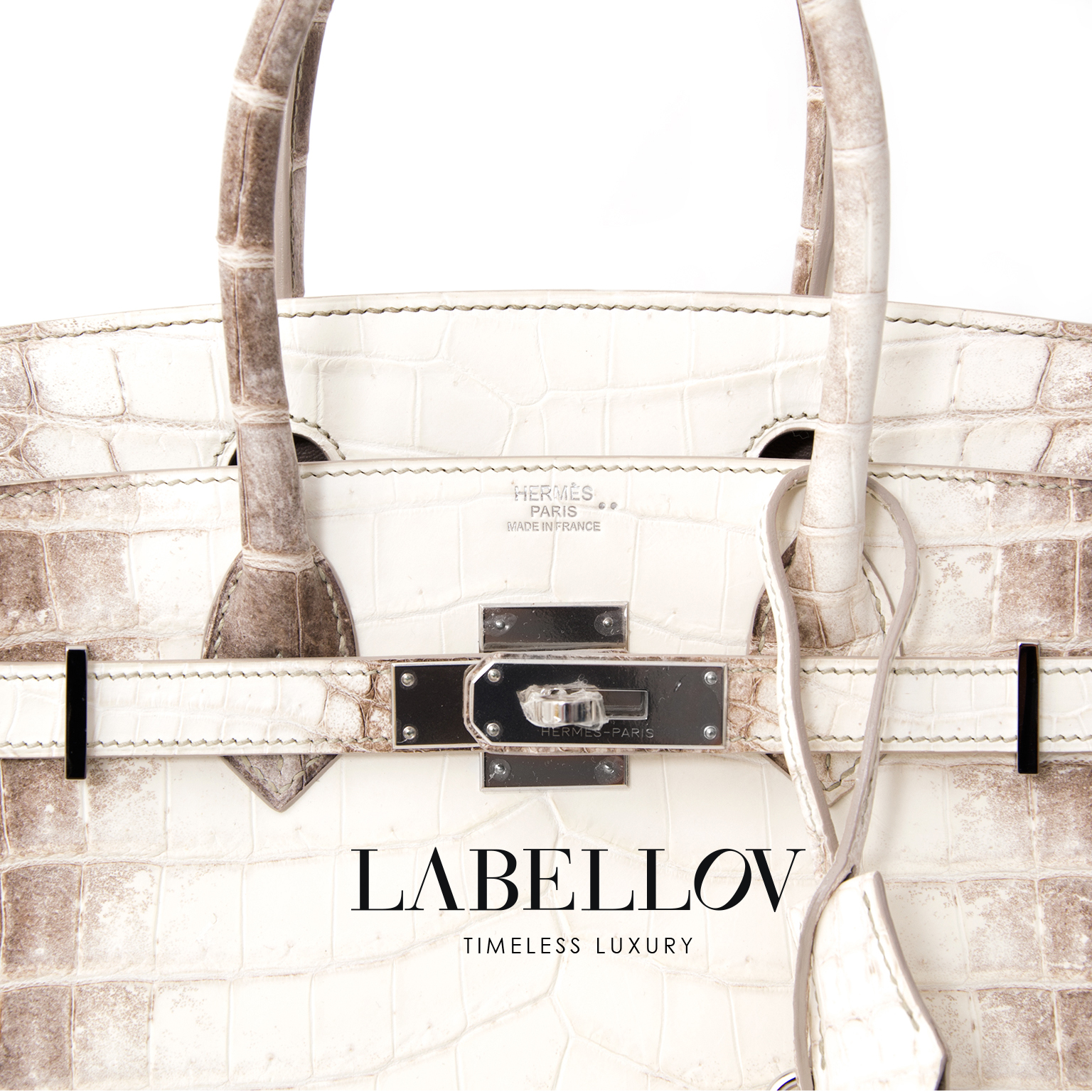 Himalaya niloticus crocodile diamond birkin 30 2025
