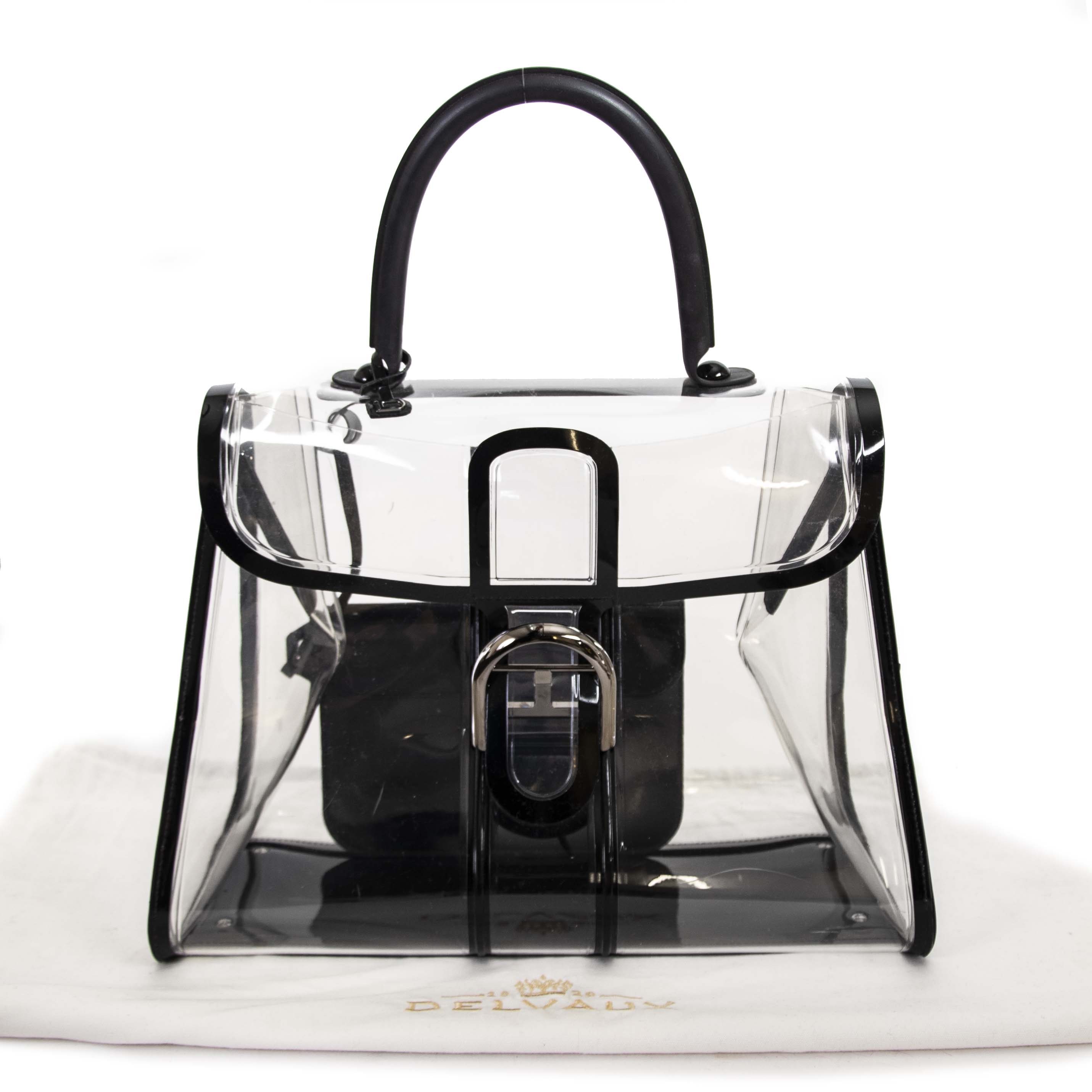Delvaux x ray bag store