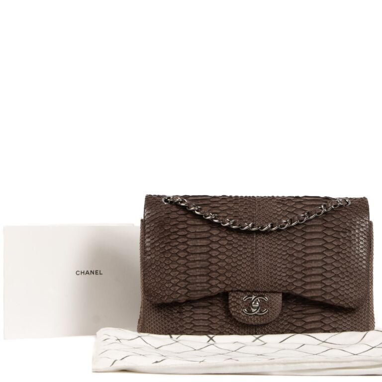 Chanel flap bag python sale