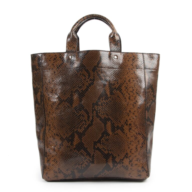 Python tote 2025