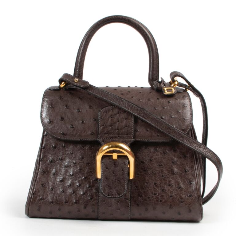 Delvaux Taupe Ostrich PM Brillant Labellov Buy and Sell