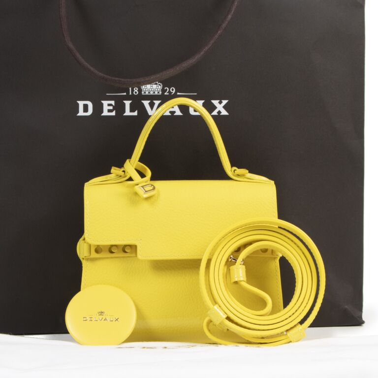 Delvaux micro bag deals
