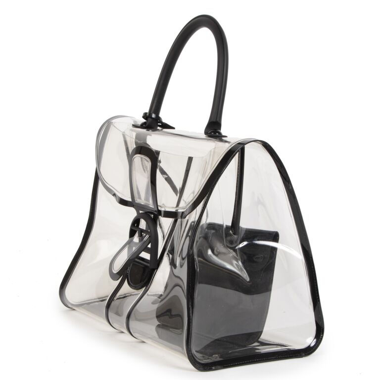 Delvaux Brillant X-Ray Limited Edition ○ Labellov ○ Buy and Sell ...