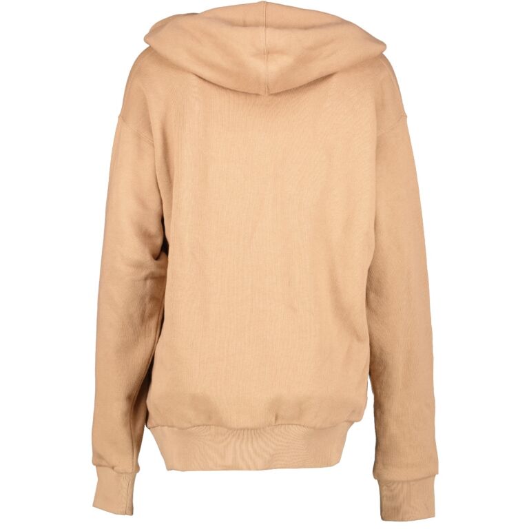 Gucci x The North Face スウェットパーカー ブラウン GUCCI×THE NORTH FACE フロントロゴスウェットプルオーバー