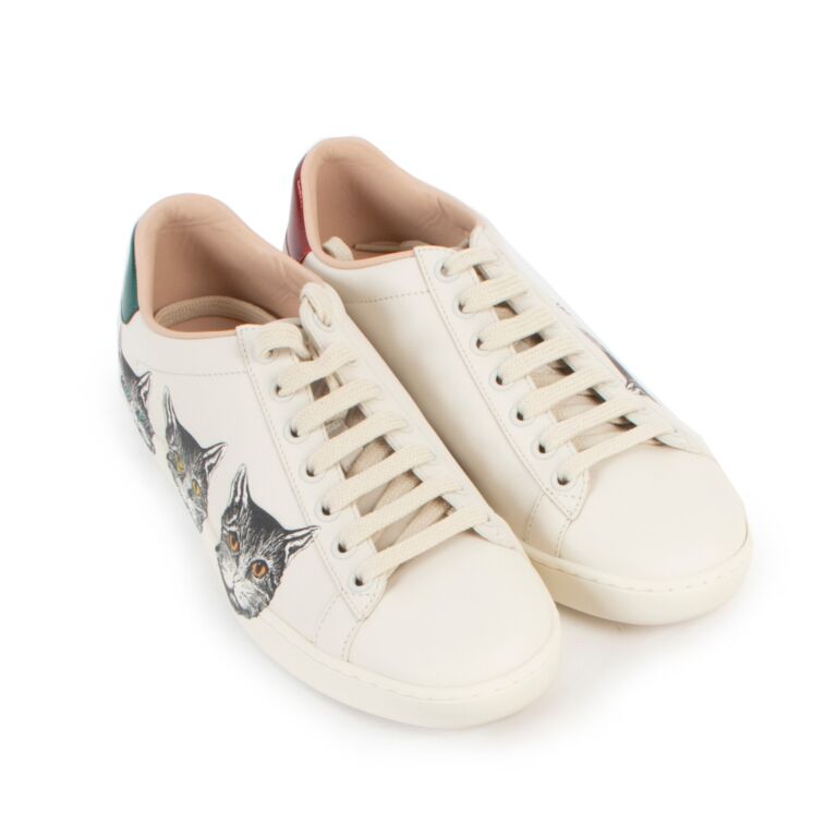 Gucci shoes new arrivals with cat