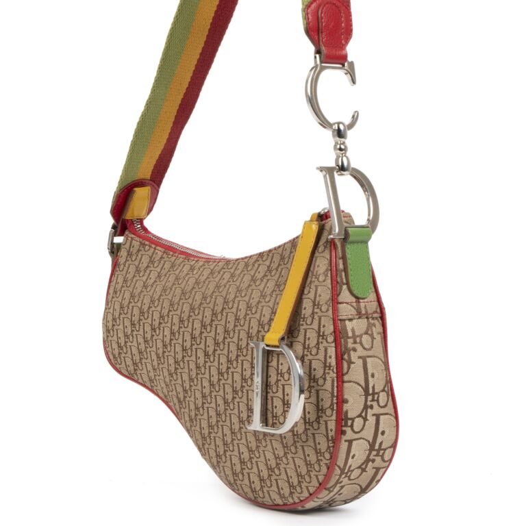 Christian Dior Multicolor Rasta Trotter Canvas Saddle Bag