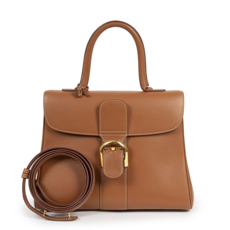 Delvaux Brillant MM Cognac GHW Strap Labellov Buy and Sell Authentic Luxury