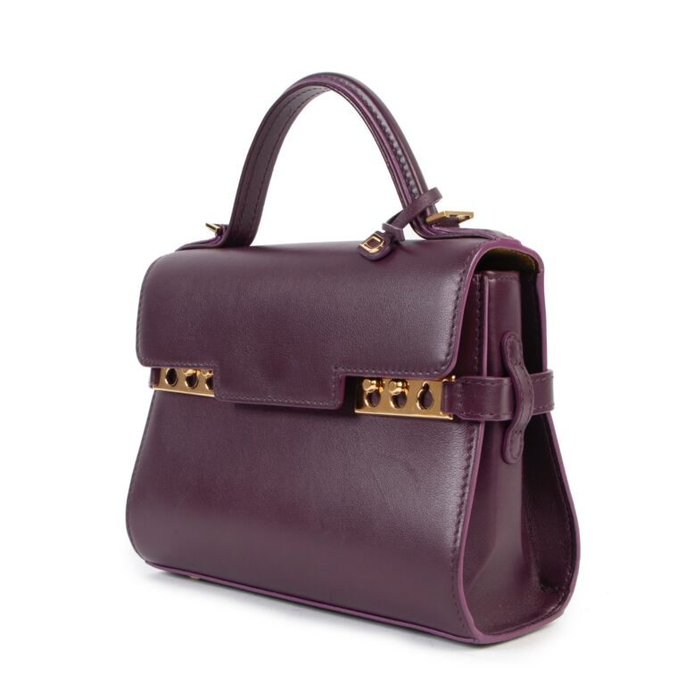 delvaux tempete mini