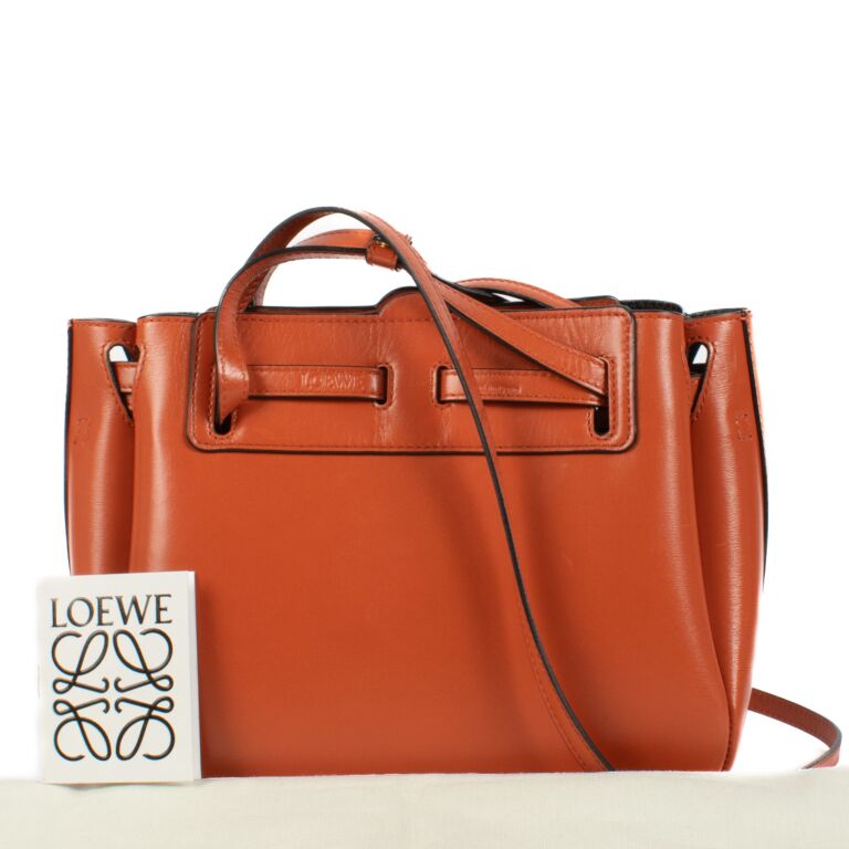 Loewe Vermillion Red Leather Mini Lazo Crossbody Bag Labellov Buy and Sell Authentic Luxury
