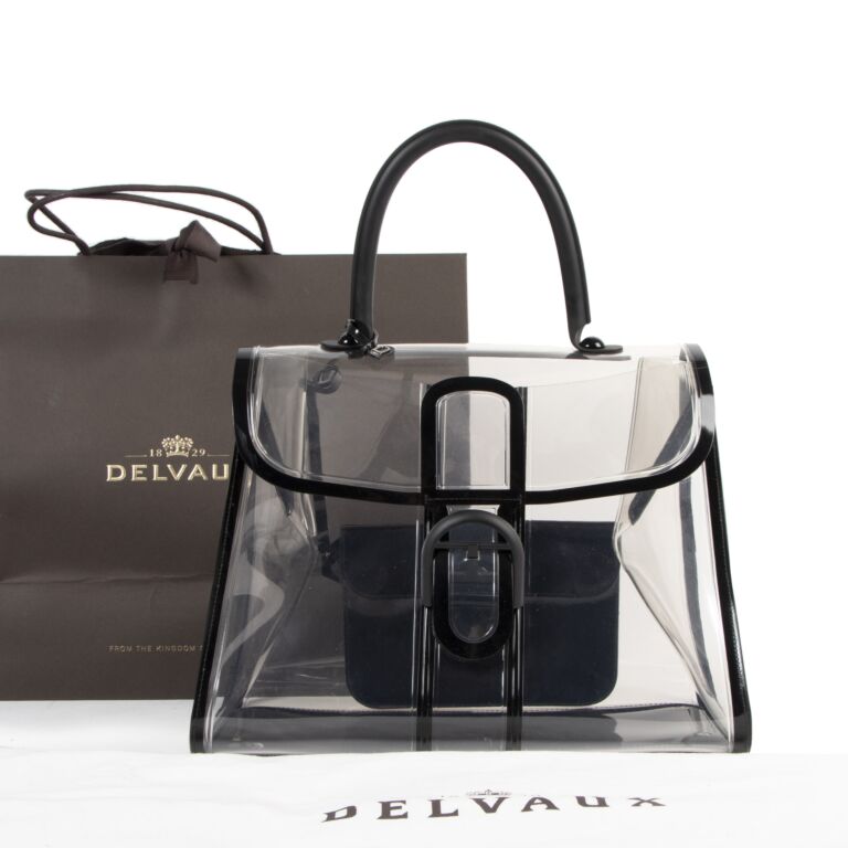 Delvaux x best sale ray bag