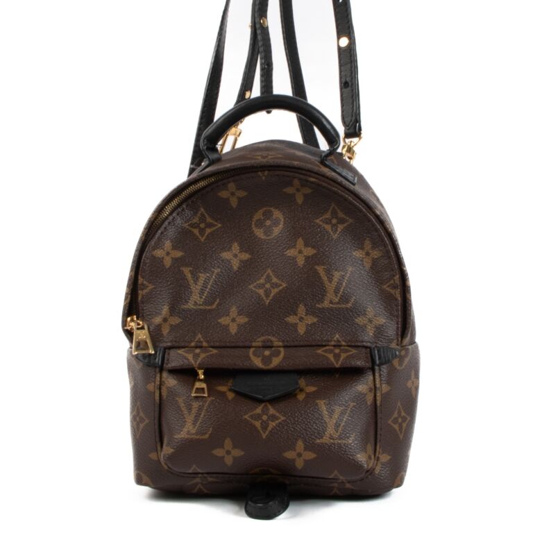 Louis Vuitton Monogram Canvas Mini Palm Springs Backpack