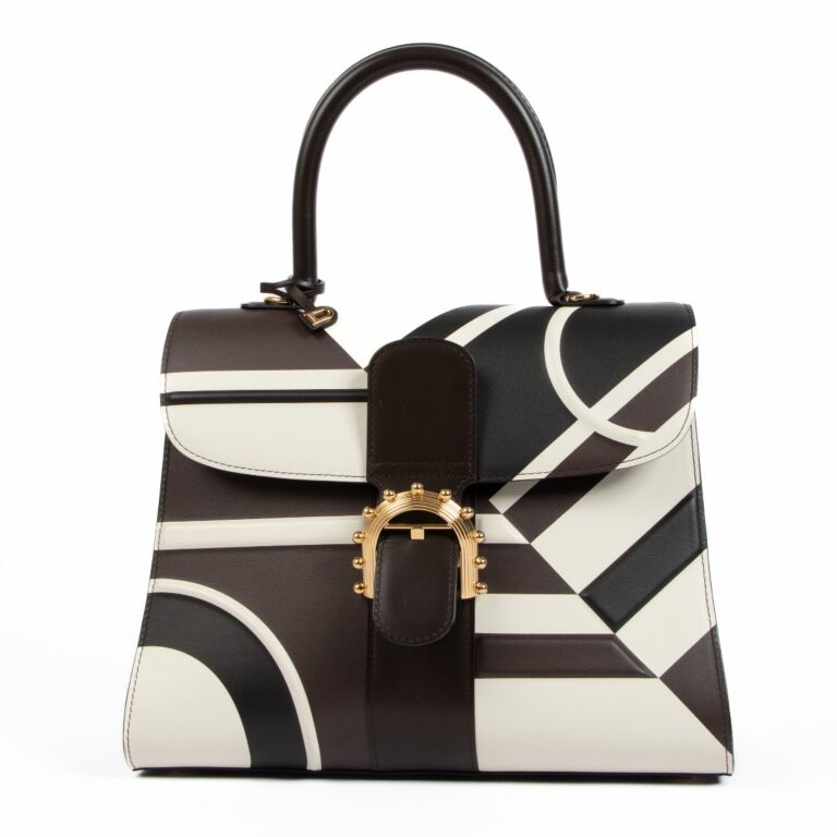 Delvaux Brillant MM L’Ethiopia Labellov Buy and Sell Authentic Luxury