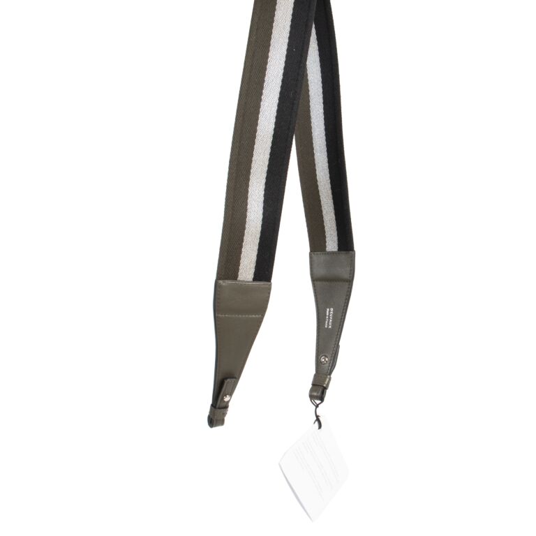 Delvaux strap sales