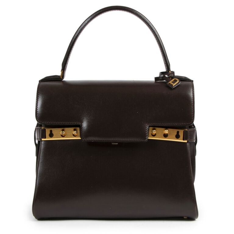 Delvaux Tempête Pm Leather Bag in Brown