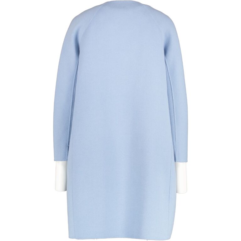 Max mara on sale baby blue coat