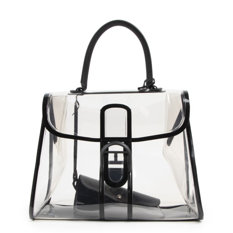 Delvaux Limited Edition Brillant X-Ray Labellov Buy and Sell Authentic ...