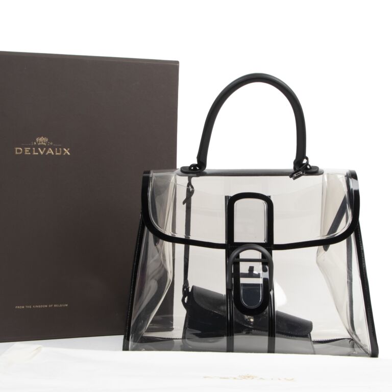 Delvaux x ray bag deals