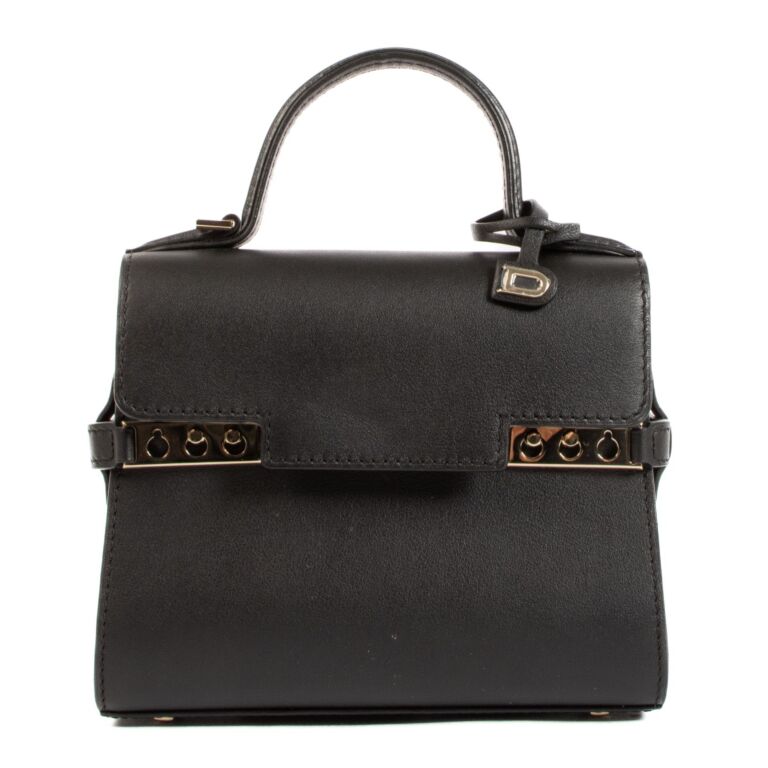 Delvaux micro top tempete