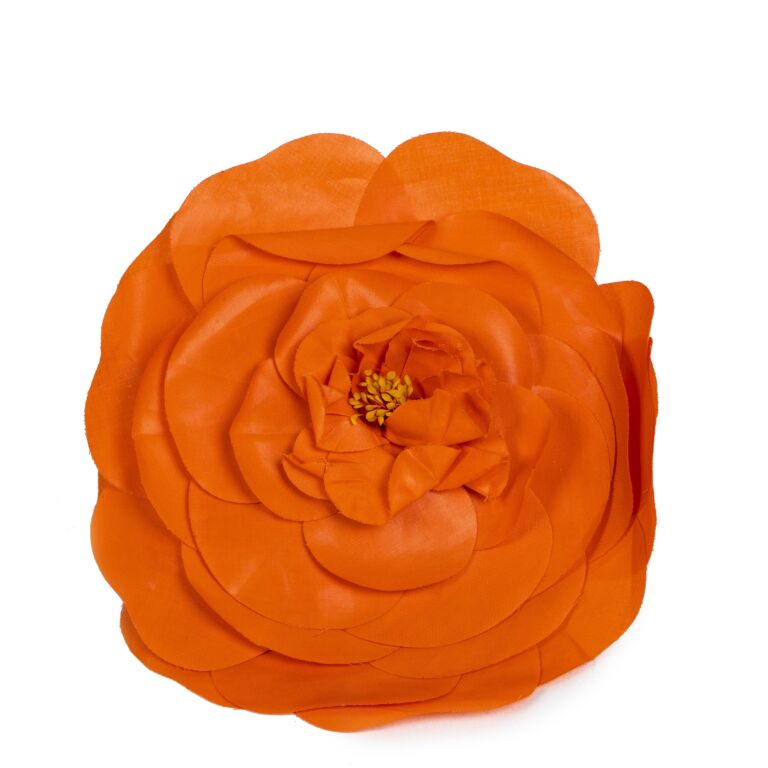 Camellia pin cheap