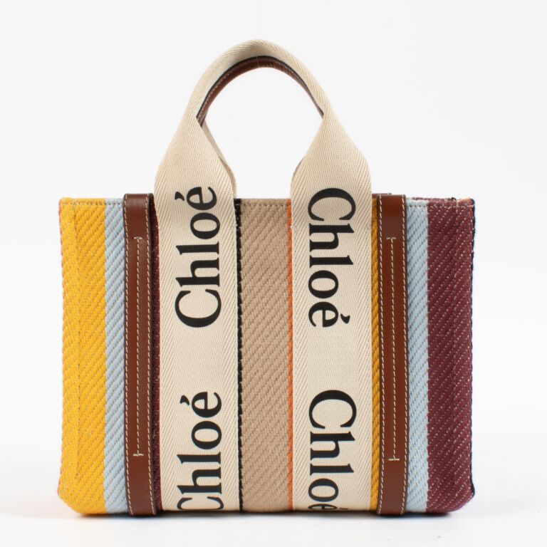 Chloé Multicolor Woody Small Bag ○ Labellov ○ Buy and Sell