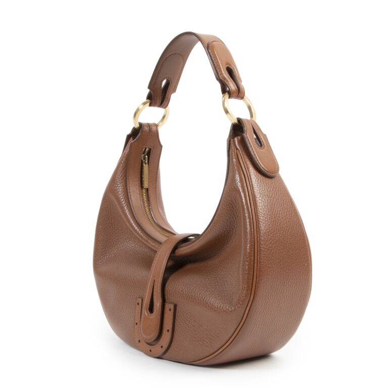 Delvaux Tempête Pm Leather Bag in Brown