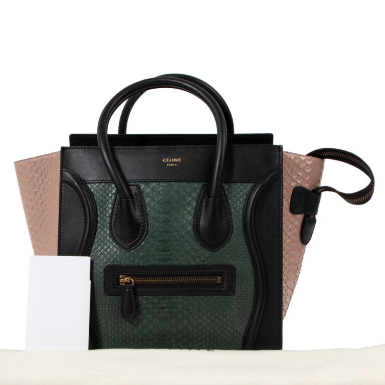 Celine python bag 2025