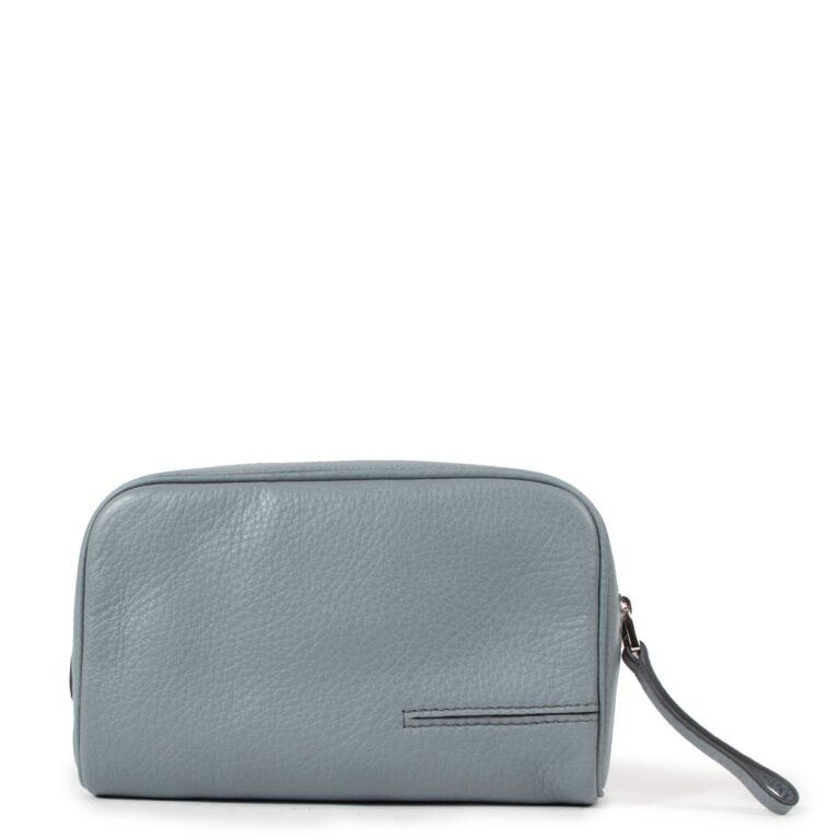 Delvaux Toujours Vanity Galop Horizon Pouch Labellov Buy and Sell ...