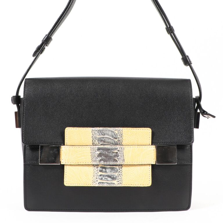 Delvaux hotsell madame bag