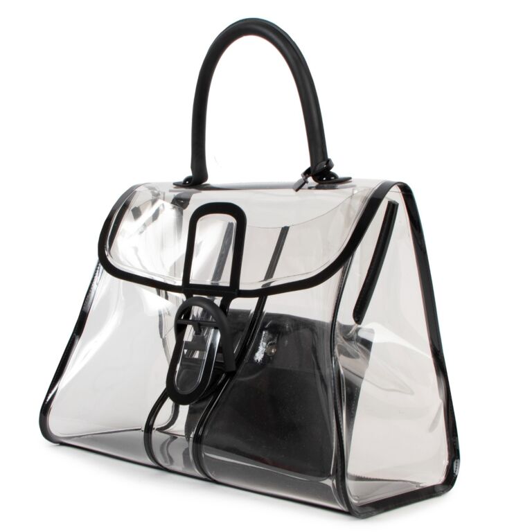 Delvaux x ray bag hot sale