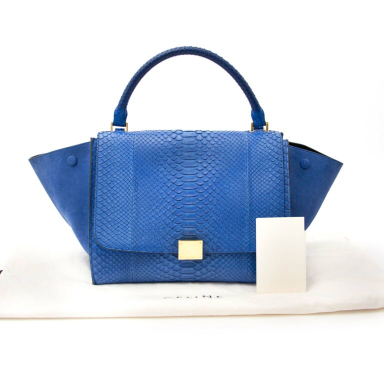 Celine python top trapeze bag
