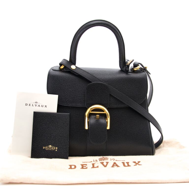 Delvaux Fauve Brillant PM + Strap ○ Labellov ○ Buy and Sell