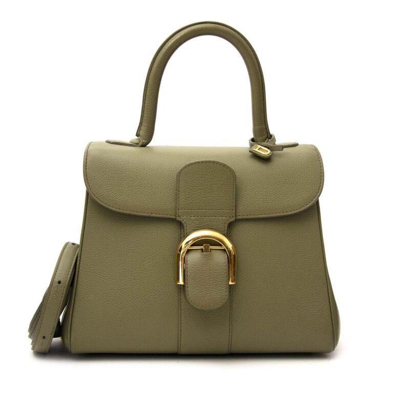 Delvaux Brillant PM Olive Green Labellov Buy and Sell Authentic Luxury