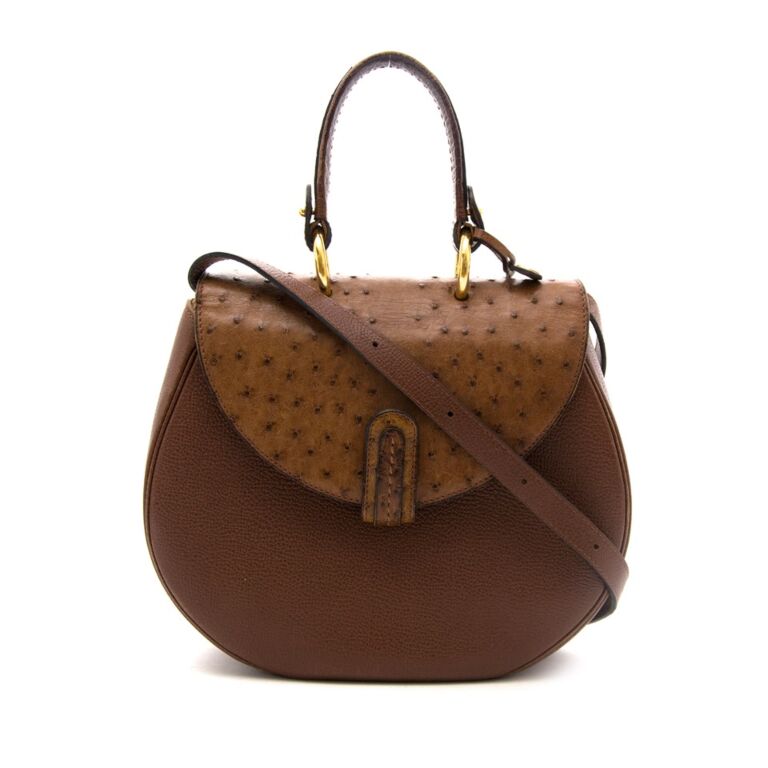 Delvaux Brown Bicolor Ostrich Brillant ○ Labellov ○ Buy and Sell Authentic  Luxury