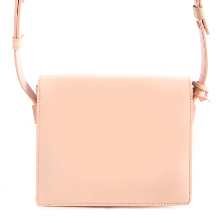 Delvaux Dusty Pink Le Madame Mini at 1stDibs  delvaux madame mini, delvaux  madame price, delvaux madame bag