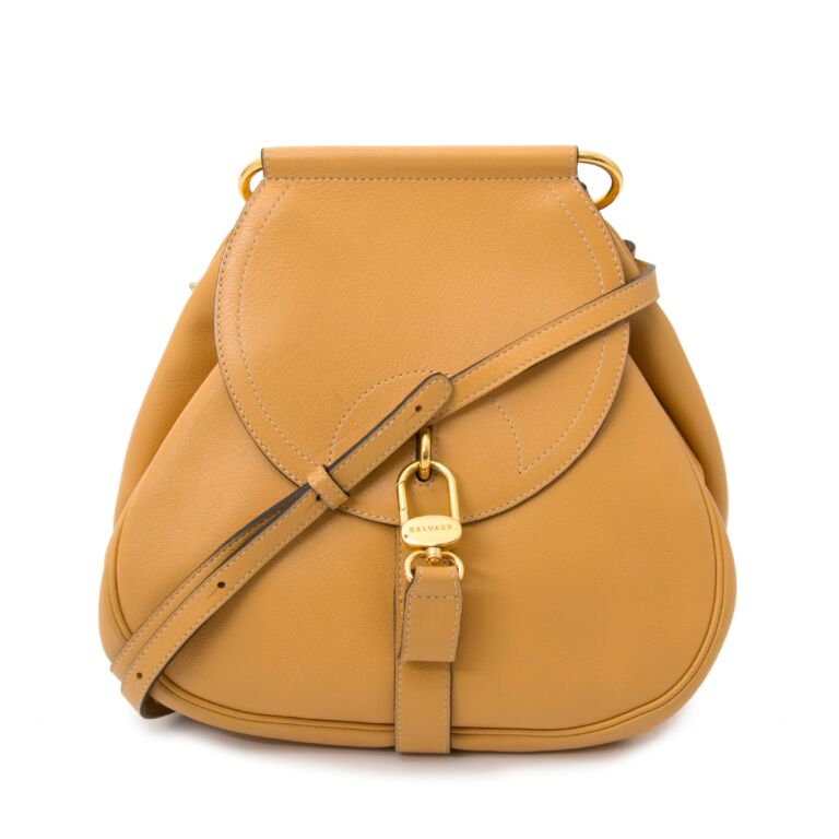 Delvaux PM Ocher Cerceau Crossbody Bag Labellov Buy and Sell Authentic ...