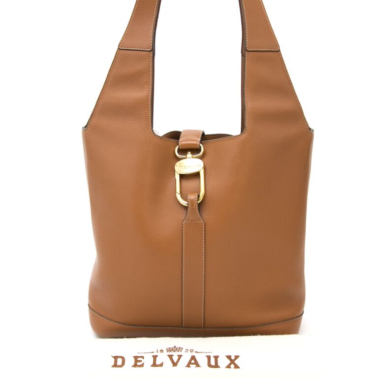 Tempête leather handbag Delvaux Camel in Leather - 19217980