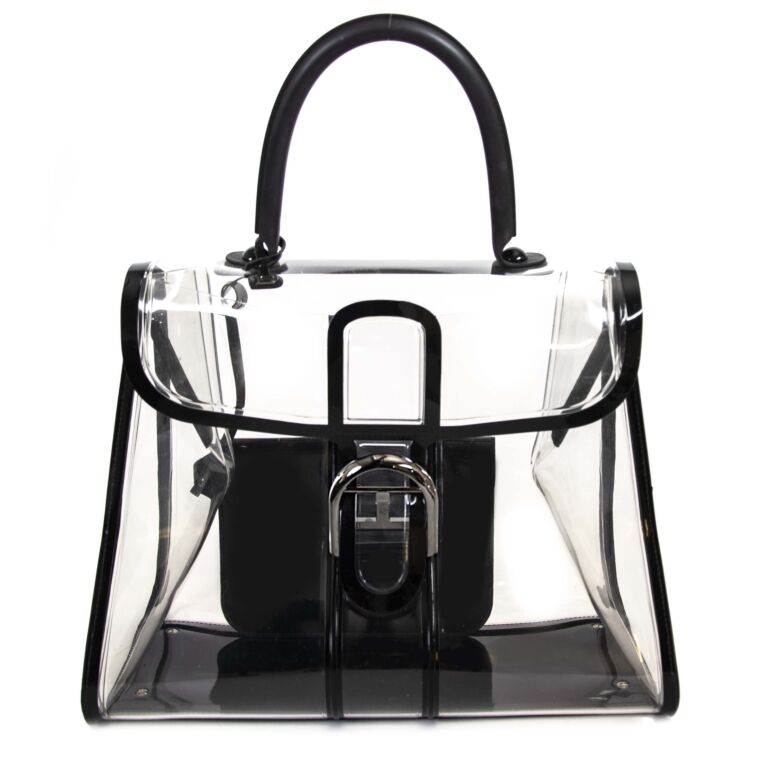 Limited EditionDelvaux Brillant X-Ray Labellov Buy and Sell Authentic ...