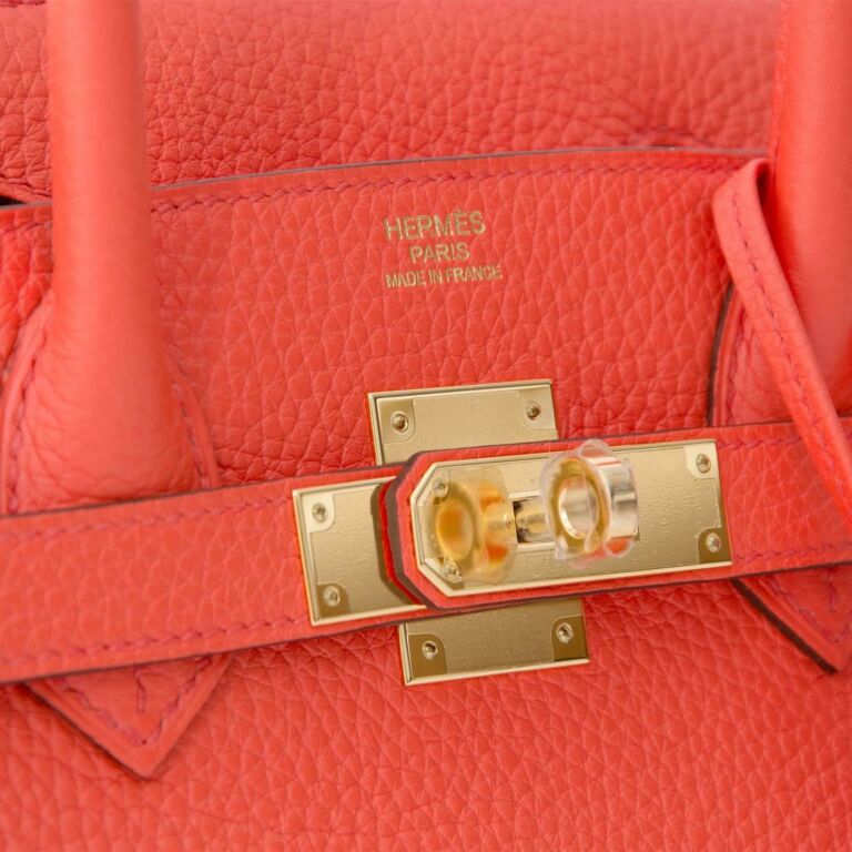 Hermes Birkin Handbag Orange Poppy Clemence with Gold Hardware 30