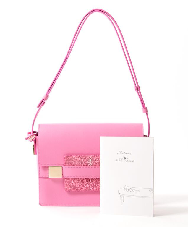 Delvaux Madame PM Pink Hardware Crossbody Bag