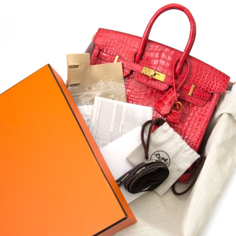 Birkin 25 2025 crocodile