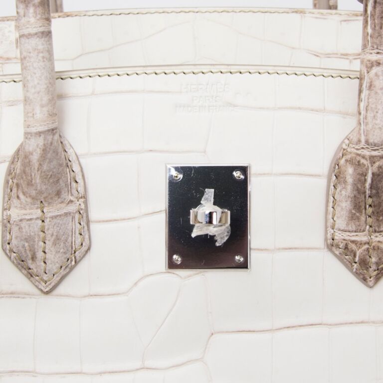 Himalaya best sale birkin 35