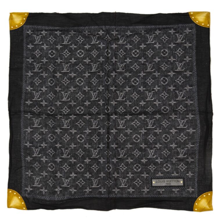 Louis Vuitton Reykjavik Cashmere Scarf ○ Labellov ○ Buy and Sell Authentic  Luxury