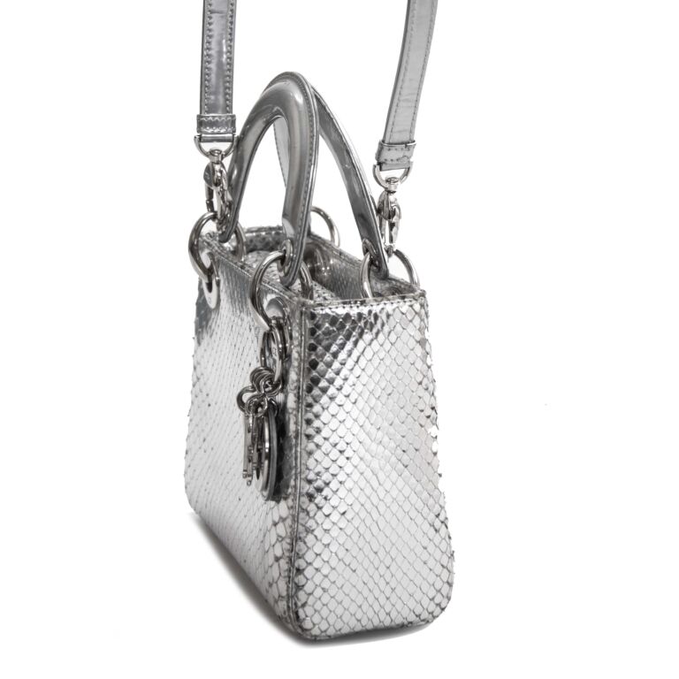 Lady dior python handbag Dior Silver in Python - 23689027