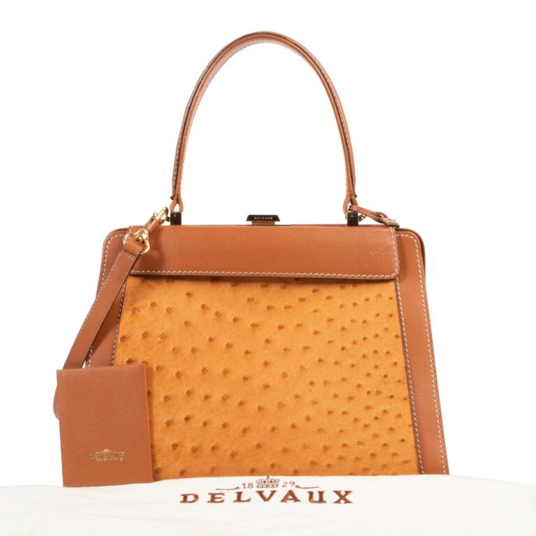 Delvaux Brown Tempête Top Handle Bag ○ Labellov ○ Buy and Sell Authentic  Luxury