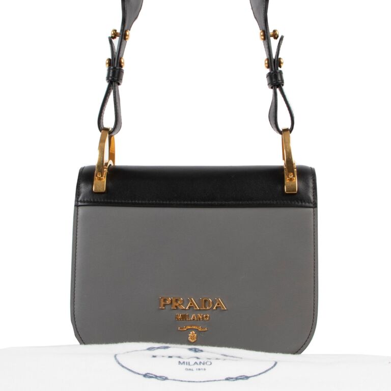 Prada Two Tone City Calf Pionniere Saddle Bag Labellov Buy