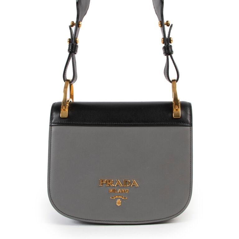 Prada Two Tone City Calf Pionniere Saddle Bag Labellov Buy