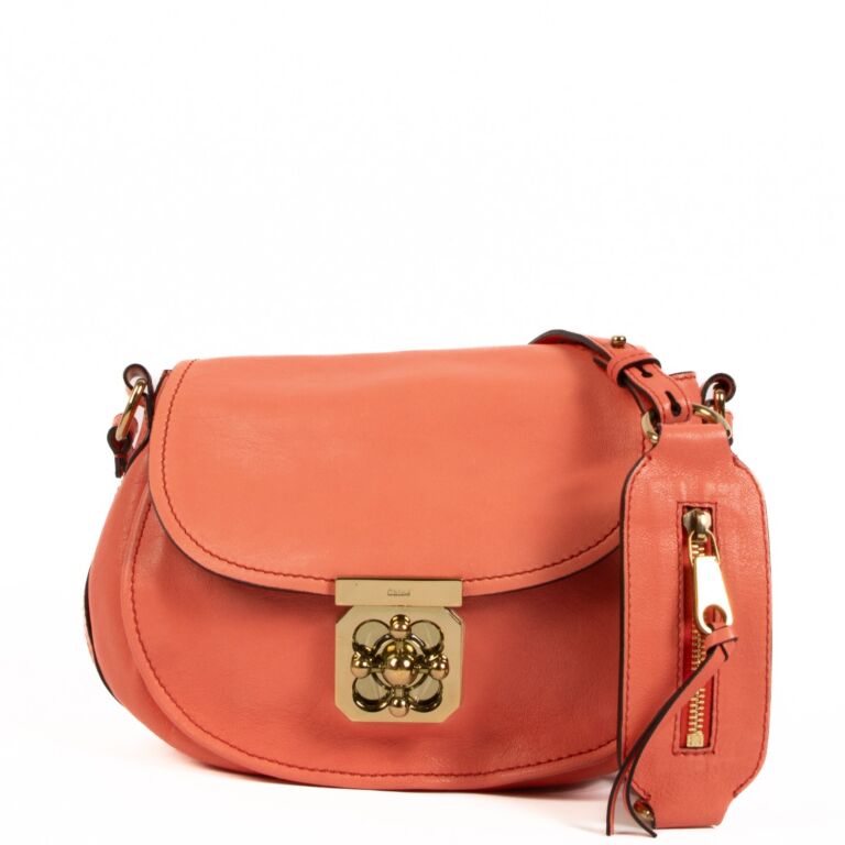 Chloe Coral Pink Goatskin Elsie Bag Labellov Buy and Sell Authentic Luxury