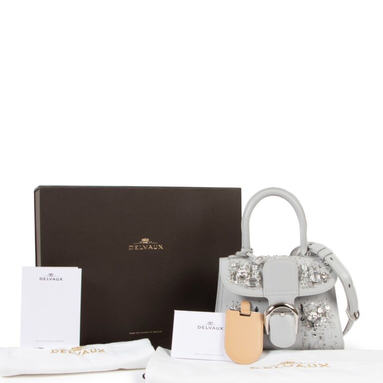 Delvaux Brillant Mini, Luxury, Bags & Wallets on Carousell