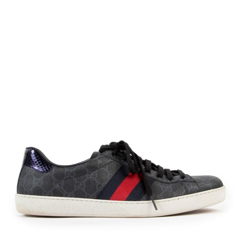 Gucci ace shop supreme trainers